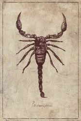 Palamnaersus Art