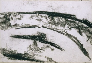 Muschel, 1904