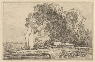 Studie von Bäumen am Ufer der Yare