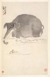 Elefant, Pferd und Hase