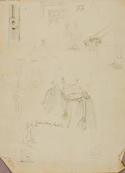 Dromedarsattel/Studien