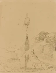 Eiche auf dem Berg Sinai