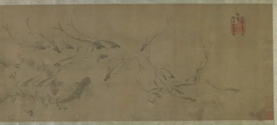 Fische und Wasserpflanzen