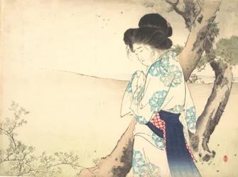 Die verrückte Frau von Yawata Yawata no kyojo, Frontispiz eines Romans