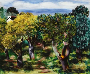 Landschaft in Sanary