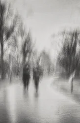 Traumhafter Parkspaziergang
