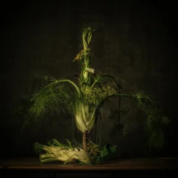 Stimmungsvolles Fenchel Stillleben
