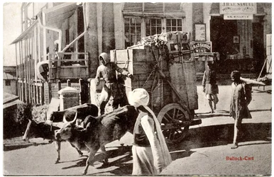 Ochsenkarren, ca. 1900-20