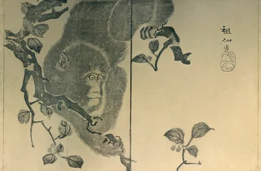 Affe, 1815, 1924