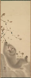 Affe, der sich an einem Ast festhält, 1780