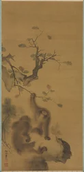 Affen auf einem Felsvorsprung, 1615-1868