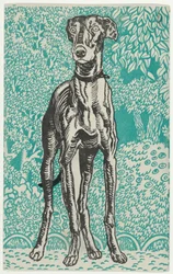 Windhund, 1912