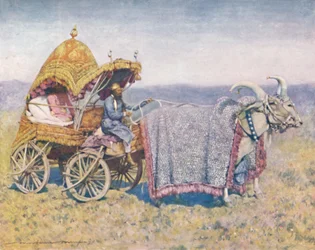Einheimischer Ochsenkarren aus Bikanir, 1903