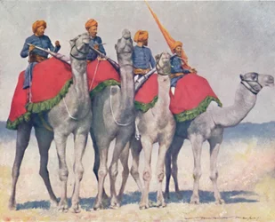 Kamelreiter aus Alwar, 1903