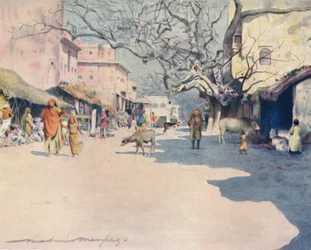 Mittag, Jeypore, 1905