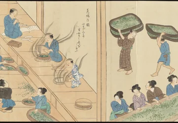 Illustrationen der Uji-Teeproduktion