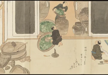 Illustrationen der Uji-Teeproduktion