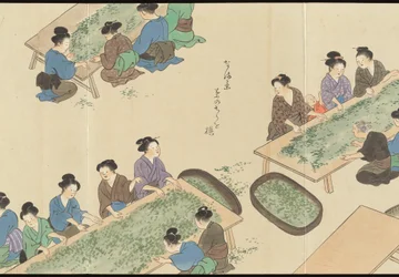 Illustrationen der Uji-Teeproduktion