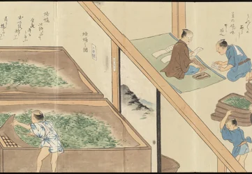 Illustrationen der Uji-Teeproduktion