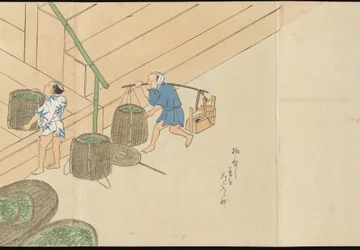 Illustrationen der Uji-Tee-Produktion