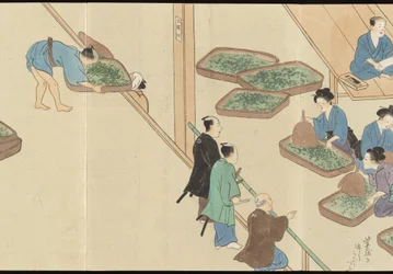Illustrationen der Uji-Tee-Produktion