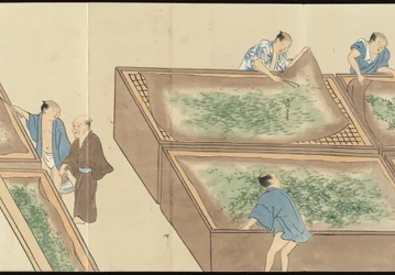 Illustrationen der Uji-Teeproduktion