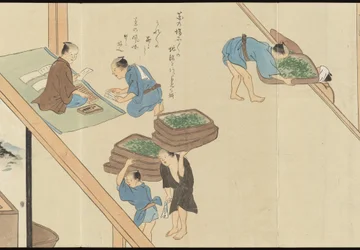 Illustrationen der Uji-Teeproduktion