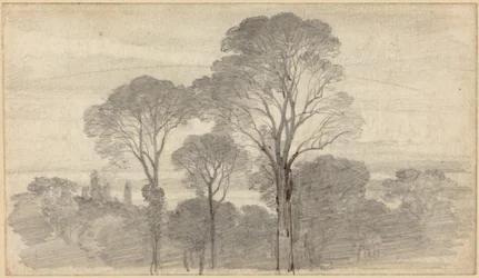 Abendlandschaft mit hohen Bäumen