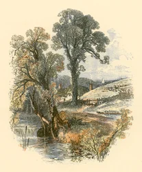 Schönheiten der Natur