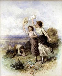Schmetterlinge fangen