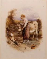 Esel füttern