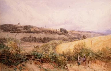Sommerlandschaft bei Haslemere, Surrey