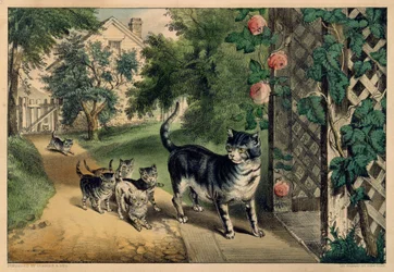 Pussys Rückkehr