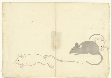 Drei Ratten
