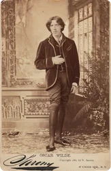 Porträt von Oscar Wilde 1854-1900, 1882