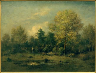 Landschaft mit Tümpel im Wald