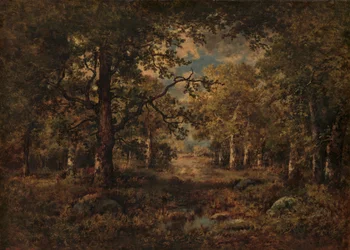 Ein Blick durch Bäume: Fontainebleau