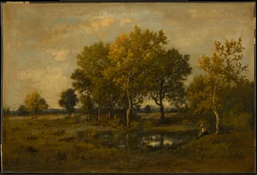 Waldlichtung