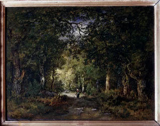 Der Weg unter Bäumen, 19. Jahrhundert, Maße: 0,24 x 0,32 m