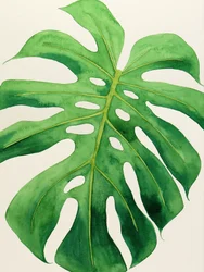 Tropisches Monstera-Blatt