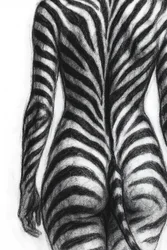 Zebrastreifenform