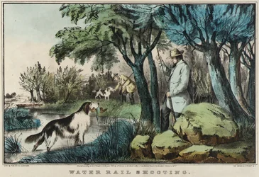 Wasserrallenjagd