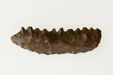 Bifaziales Sicheln, ca. 4500–4000 v. Chr.