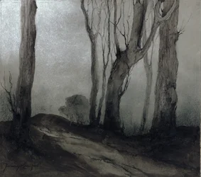Schatten der Nacht