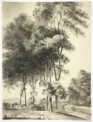 Bäume mit Bergen in der Ferne