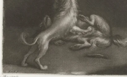 Zwei spielende Hunde