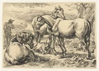 Drei Pferde (Dieren, Serientitel)