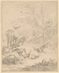 Ruhende Herde