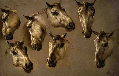 Skizzen von Pferdeköpfen