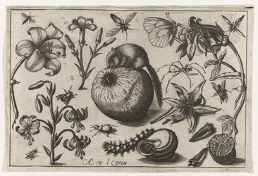 Blumen und eine Maus auf einem Apfel